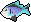Raw rainbow fish