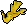 Elkhorn coral
