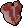 Raw t-bone steak