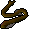Cave eel